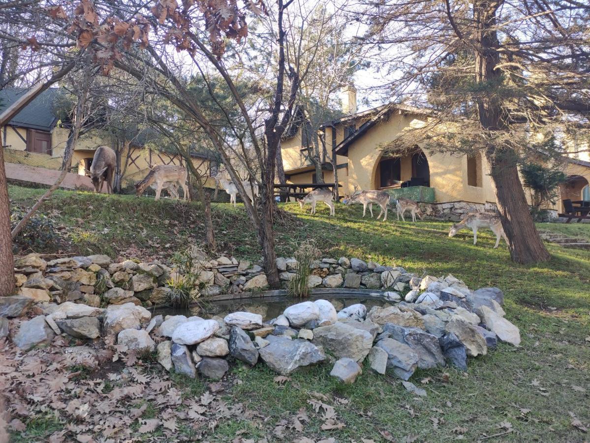 Polonezkoey Country Club & Accommodation In The Wildlife Park! Istanbul Exterior photo