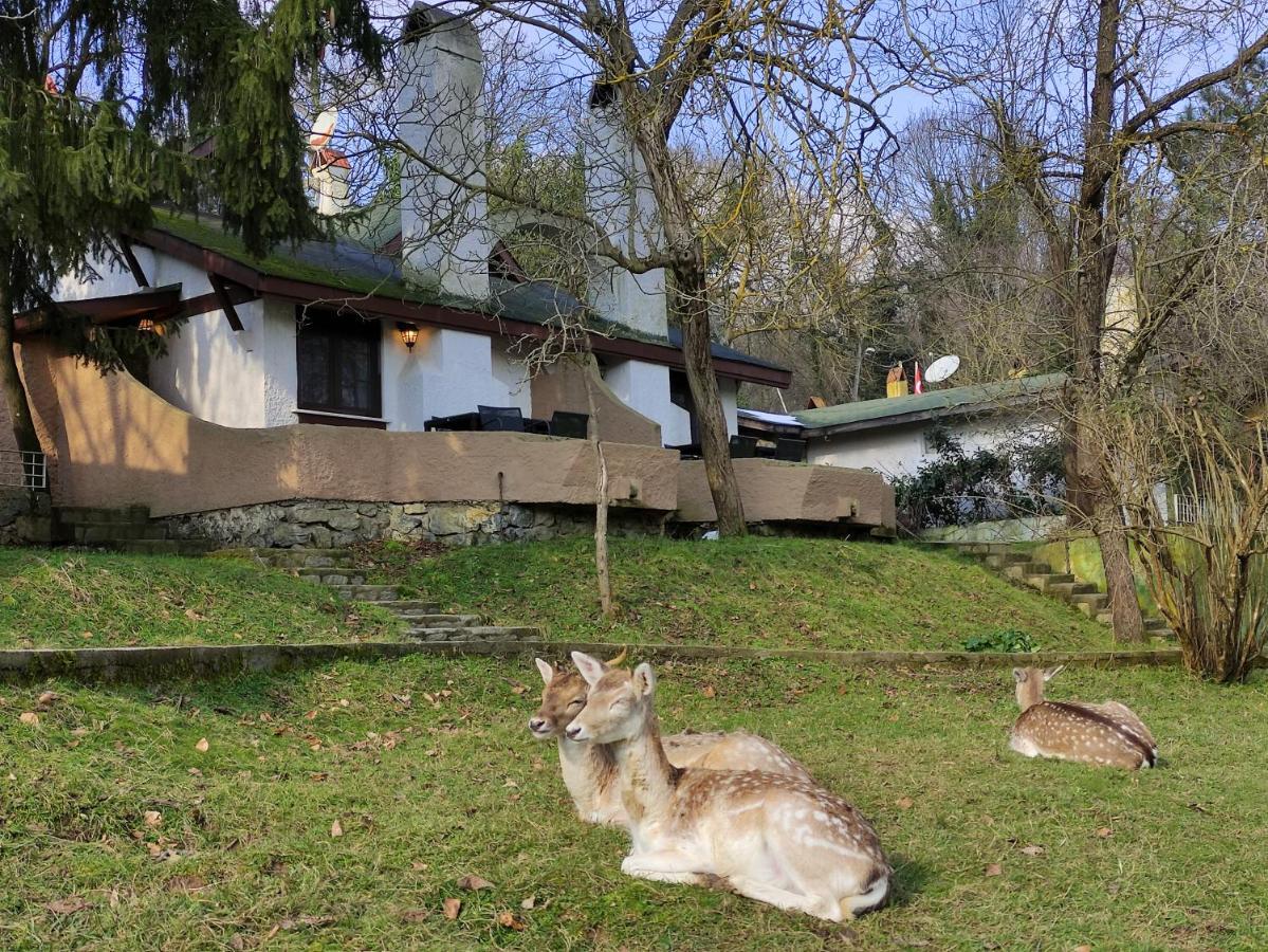 Polonezkoey Country Club & Accommodation In The Wildlife Park! Istanbul Exterior photo