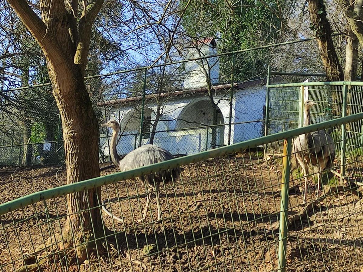 Polonezkoey Country Club & Accommodation In The Wildlife Park! Istanbul Exterior photo
