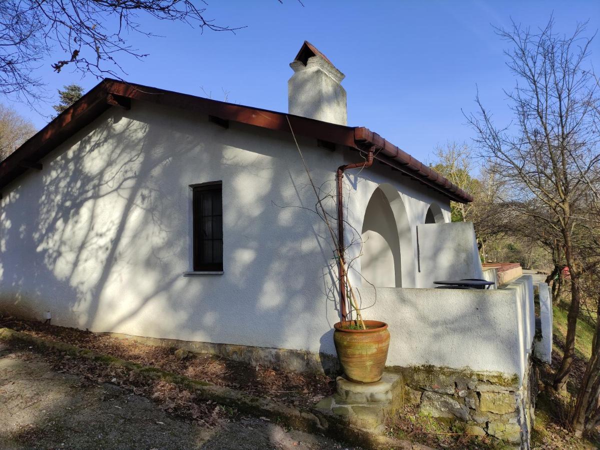 Polonezkoey Country Club & Accommodation In The Wildlife Park! Istanbul Exterior photo