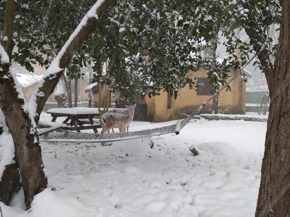 Polonezkoey Country Club & Accommodation In The Wildlife Park! Istanbul Exterior photo