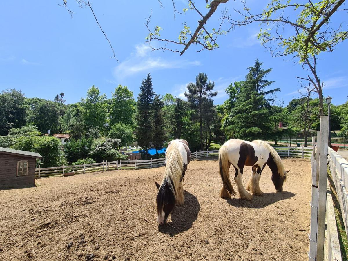 Polonezkoey Country Club & Accommodation In The Wildlife Park! Istanbul Exterior photo