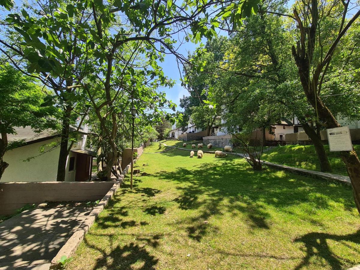 Polonezkoey Country Club & Accommodation In The Wildlife Park! Istanbul Exterior photo