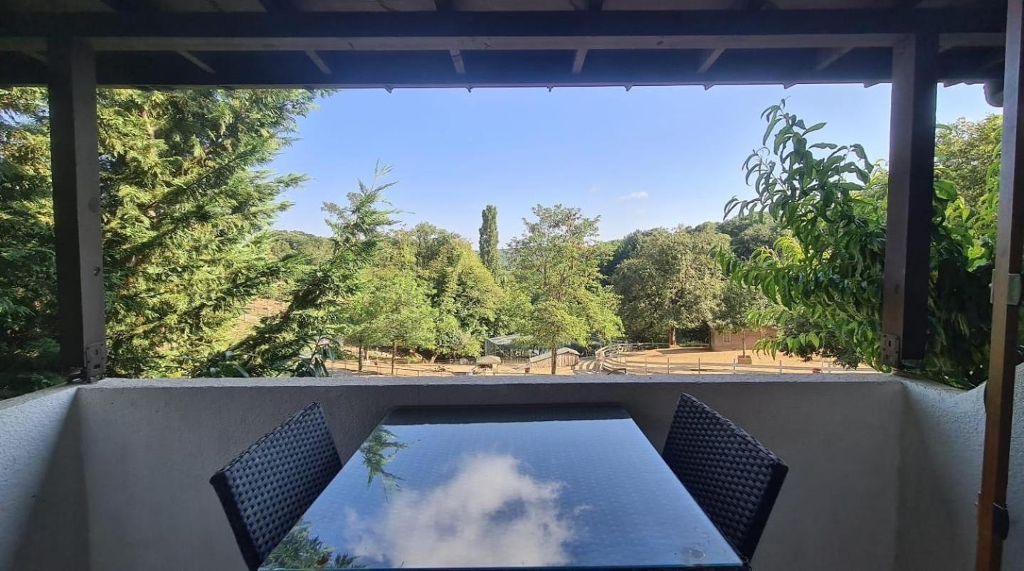 Polonezkoey Country Club & Accommodation In The Wildlife Park! Istanbul Exterior photo